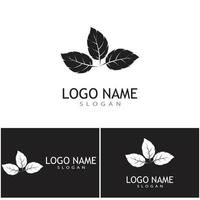 modèle de logo feuille icône vector illustration design