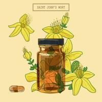 fleurs de moût de saint johns et flacon et pilule en verre brun, illustration botanique dessinée à la main dans un style moderne à la mode vecteur