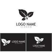 modèle de logo feuille icône vector illustration design