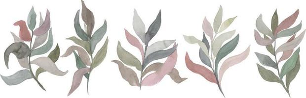 brindilles aquarelles avec des feuilles de différentes couleurs vecteur éléments isolés.