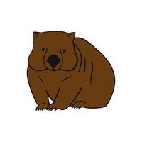 illustration vectorielle wombat. vecteur