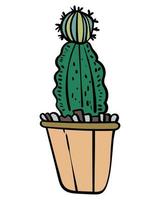 illustration de dessin animé succulent cactus vecteur