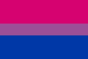 drapeau de la fierté bisexuelle vecteur