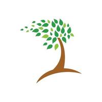 vecteur de logo écologie arbre