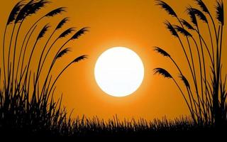 herbe en silhouette coucher de soleil nature fond vecteur