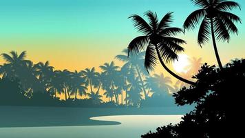 fond de nature coucher de soleil forêt tropicale avec cocotiers vecteur