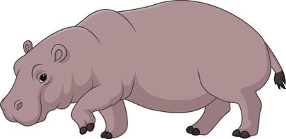 hippopotame drôle de dessin animé isolé sur fond blanc vecteur