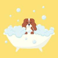 chien dans un bain moussant. s'occuper d'un animal. baigner le chien dans la salle de bain. illustration vectorielle en style cartoon. vecteur