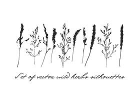 ensemble de silhouette vectorielle de plantes. esp 10. illustration vectorielle. vecteur