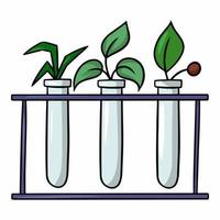 expérience biologique avec des plantes, tubes à essai en verre sur un support, illustration vectorielle de dessin animé sur fond blanc vecteur