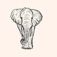 croquis d'éléphant dessiné à la main vecteur