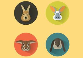 Vector de portraits de lapin