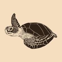 tortue de mer croquis illustration dessin vecteur
