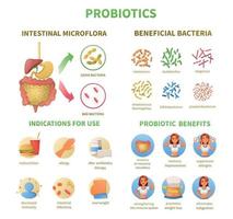 jeu de dessin animé infographie probiotiques vecteur