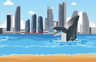 baleine à bosse dans la ville vecteur