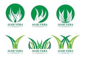 plante verte aloe vera logo vecteur icône symbole de nombreux avantages