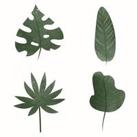 feuilles vertes aquarelles décoratives, palmier et monstera. branches d'arbres avec des feuilles, illustration vectorielle vecteur