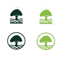 ensemble de logo de champs de chêne vecteur