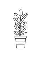 ficus dans un pot de fleurs. illustration vectorielle contour doodle fleur avec des feuilles pour la décoration de la chambre. vecteur