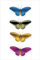 papillon - bleu, vert, jaune et violet vecteur