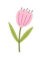 jolie tulipe rose avec des feuilles isolées sur fond blanc. illustration vectorielle dans un style plat dessiné à la main. parfait pour les cartes, le logo, les décorations, les designs de printemps et d'été. clipart botanique. vecteur