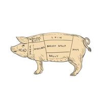 dessin de carte de coupe de viande de porc vintage vecteur