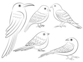 contour dessin d'oiseau vecteur