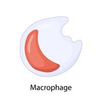 structure d'un monocyte. macrophage. immunité leucocytaire. leucocyte. illustration vectorielle sur un fond isolé. vecteur