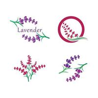 vecteur de logo fleur de lavande fraîche