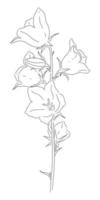 dessin vectoriel d'une cloche en fleurs sur fond blanc