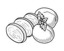 dessin de contour vectoriel de tranches de fromage mozzarella sur fond blanc
