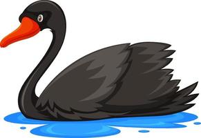 cygne noir en style cartoon vecteur