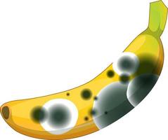 une banane avec de la moisissure vecteur