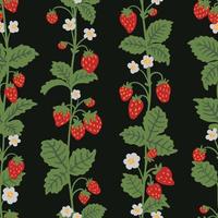 tige de brousse de fraises des bois, modèle sans couture de vecteur de fouet. texture dessinée à la main de baies de forêt d'été pour papiers peints, textile, papier d'emballage, tissu, emballage, cartes. fond de dessin animé plat de fruits mignons