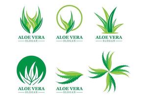 plante verte aloe vera logo vecteur icône symbole de nombreux avantages