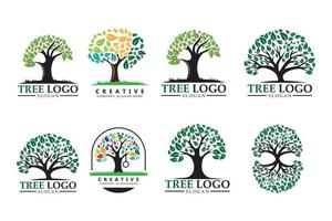 création de logo d'arbre, illustration de plante d'apprentissage pour enfants vecteur