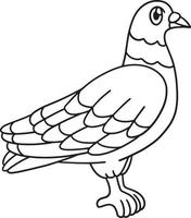 coloriage de pigeon isolé pour les enfants vecteur