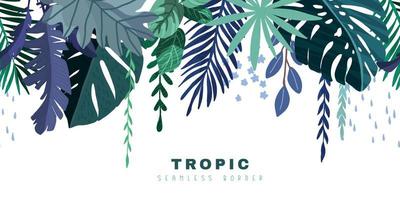 bordure transparente tropicale avec monstera bleu et feuilles de palmier vecteur