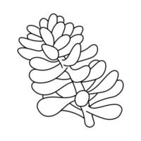 mignon succulent dessiné à la main dans un doodle de style. illustration vectorielle, éléments isolés sur fond blanc. vecteur