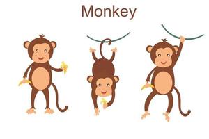 collection de personnages vectoriels de petits singes mignons vecteur