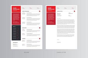 CV professionnel et modèle de lettre de motivation. vecteur professionnel