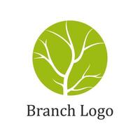 logo de branche d'arbre vecteur