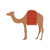 icône plate multicolore de chameau vecteur