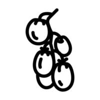 branche tomate ligne icône illustration vectorielle vecteur