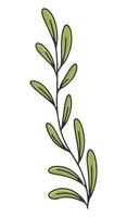 branche d'olivier avec des feuilles. étiquette ou logo d'huile d'olive pour un magasin ou un marché d'agriculteurs. emblème rétro de l'illustration vectorielle d'huile d'olive biologique isolée sur fond blanc. vecteur