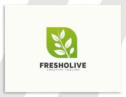 logo d'olivier propre avec des feuilles vecteur