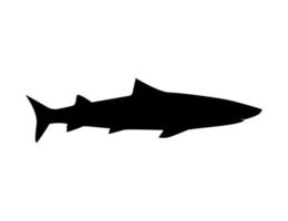 silhouette d'un requin sur fond blanc. illustration de conception vectorielle clipart animal marin sous-marin. vecteur