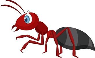 fourmi rouge isolé sur fond blanc vecteur