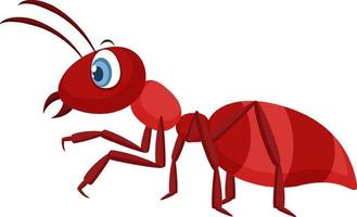 fourmi rouge isolé sur fond blanc