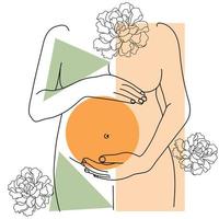 contour du ventre de femme enceinte vecteur